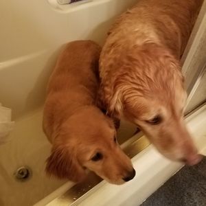 Meet your Posher, Marc